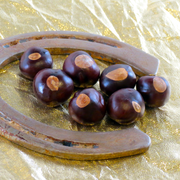 Buckeye Nut // 1 Whole Nut