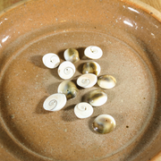 Cat's Eye Shells
