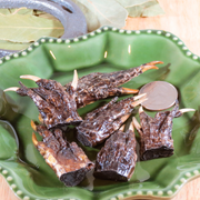 Alligator Foot