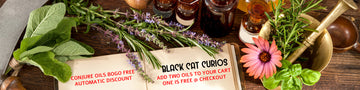 A styled tabletop scene with several amber glass bottles of oil, fresh herbs including rosemary, mint, basil, and lavender, a pink flower, a wooden mortar and pestle, and an open book titled 'BLACK CAT CURIO3' on a dark wooden surface.